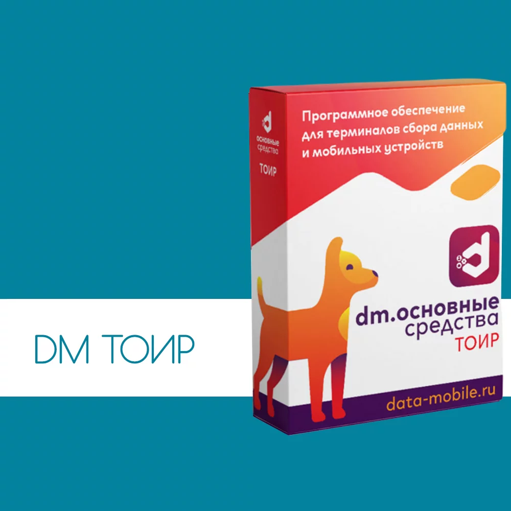 DataMobile ТОИР детальное фото